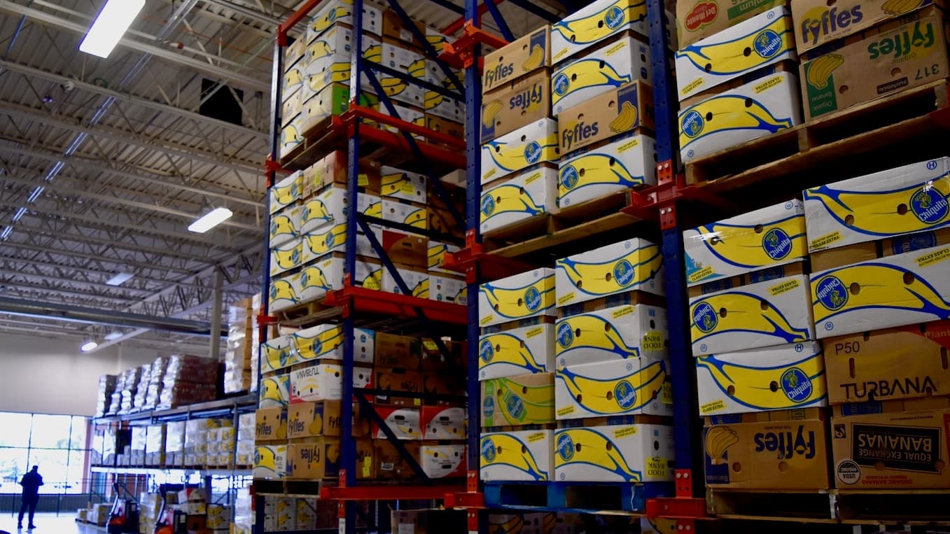 Results from Rhode Island Food Bank's 2019 Hunger Survey paint a picture of desperate families and hungry children