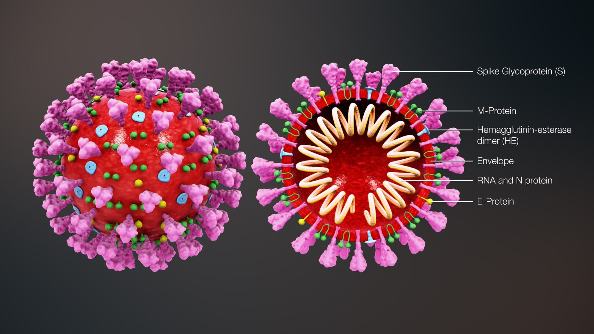 Coronavirus exposes deep problems in Rhode Island's healthcare system
