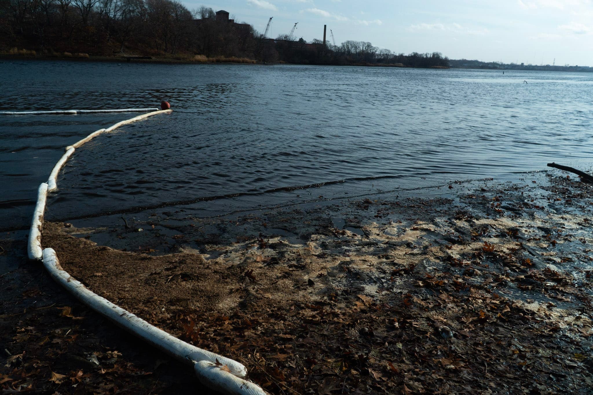 Photographer Alex Hornstein laments the wildlife lost to National Grid's oil spillage