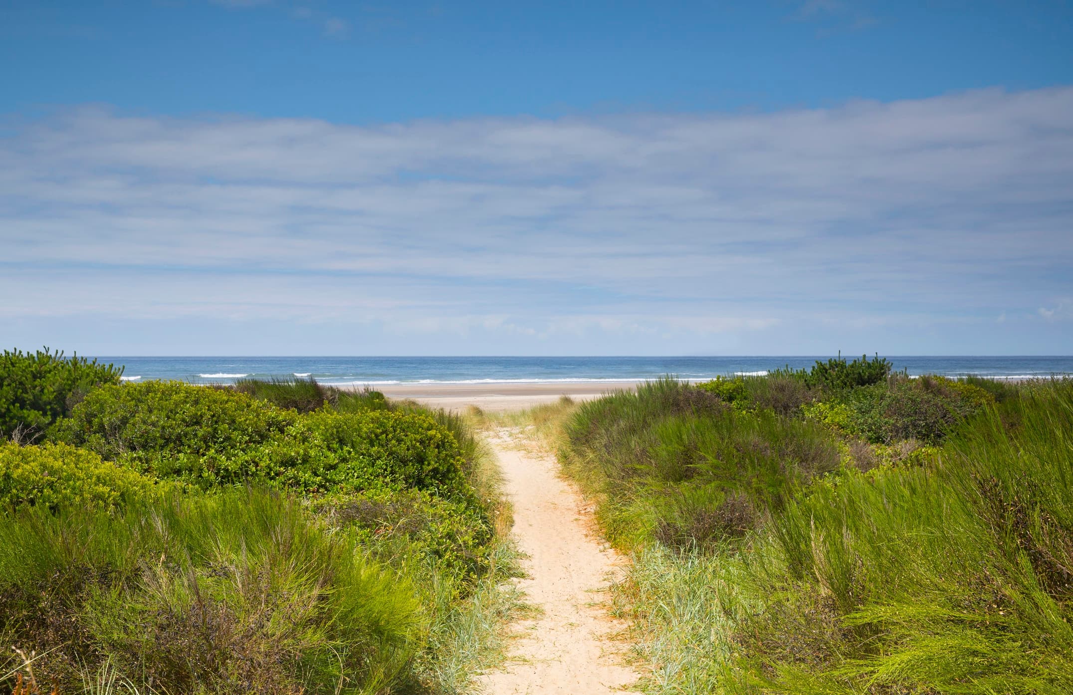 New Laws Target Education, Coastal Access, and Healthcare