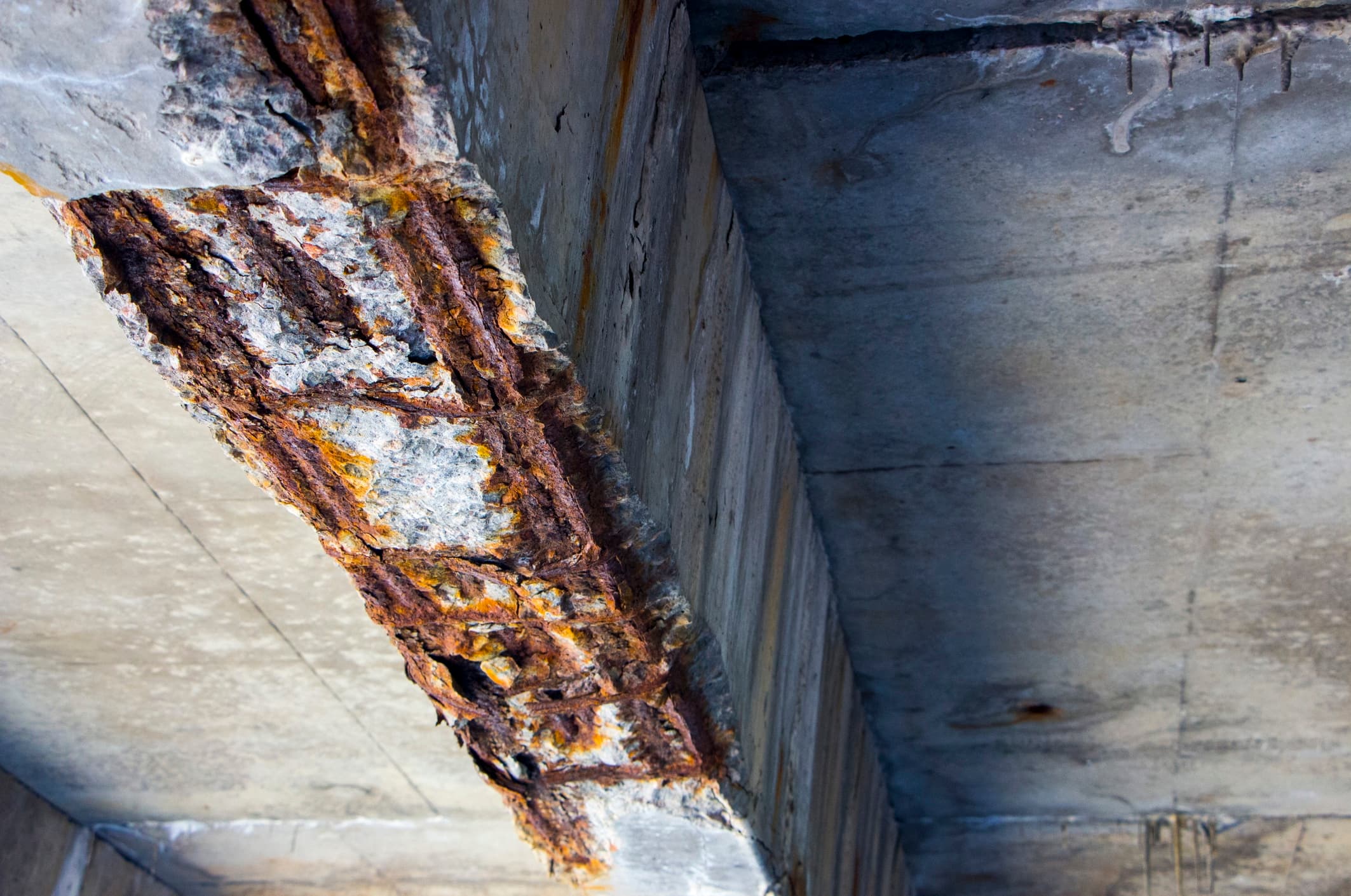 New Laws Target Infrastructure, Restaurants, and Your Prescriptions