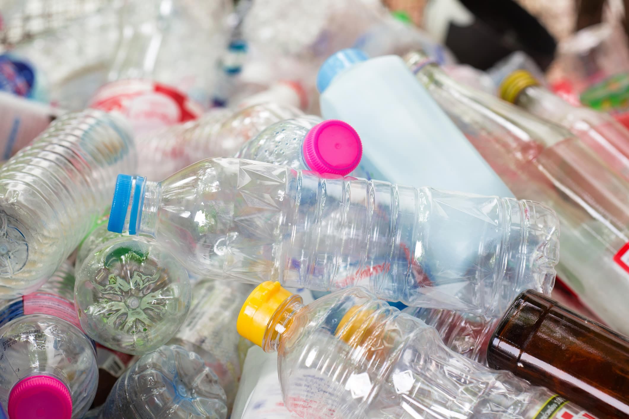 Summer Guide to New Laws: Bottle Deposits, Online Gambling, and Contract Corruption