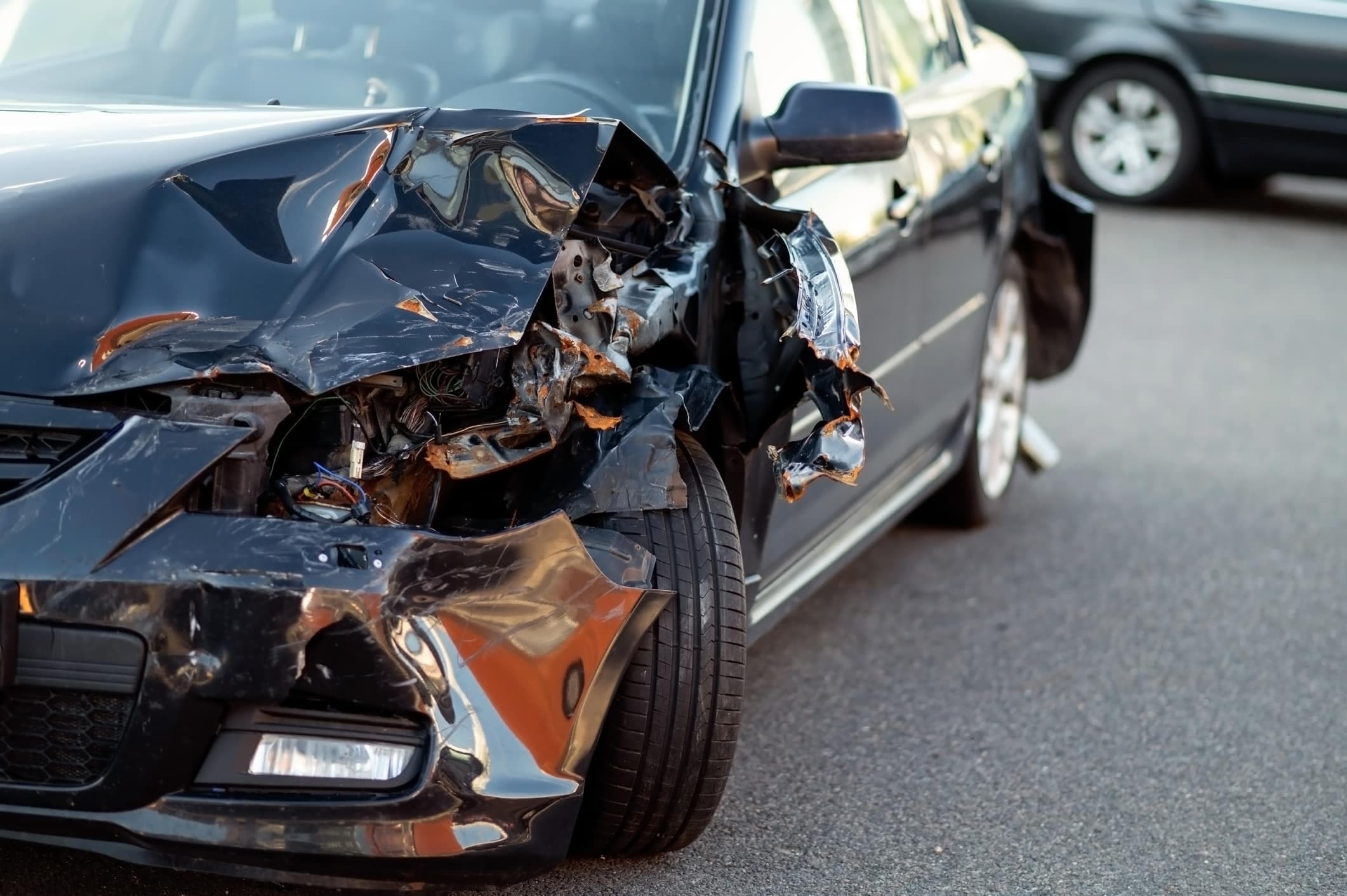 New Laws Call for Big Changes to Auto and Pet Insurance