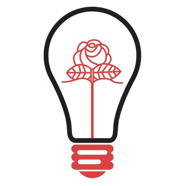 Power to the People? Nationalize Grid
