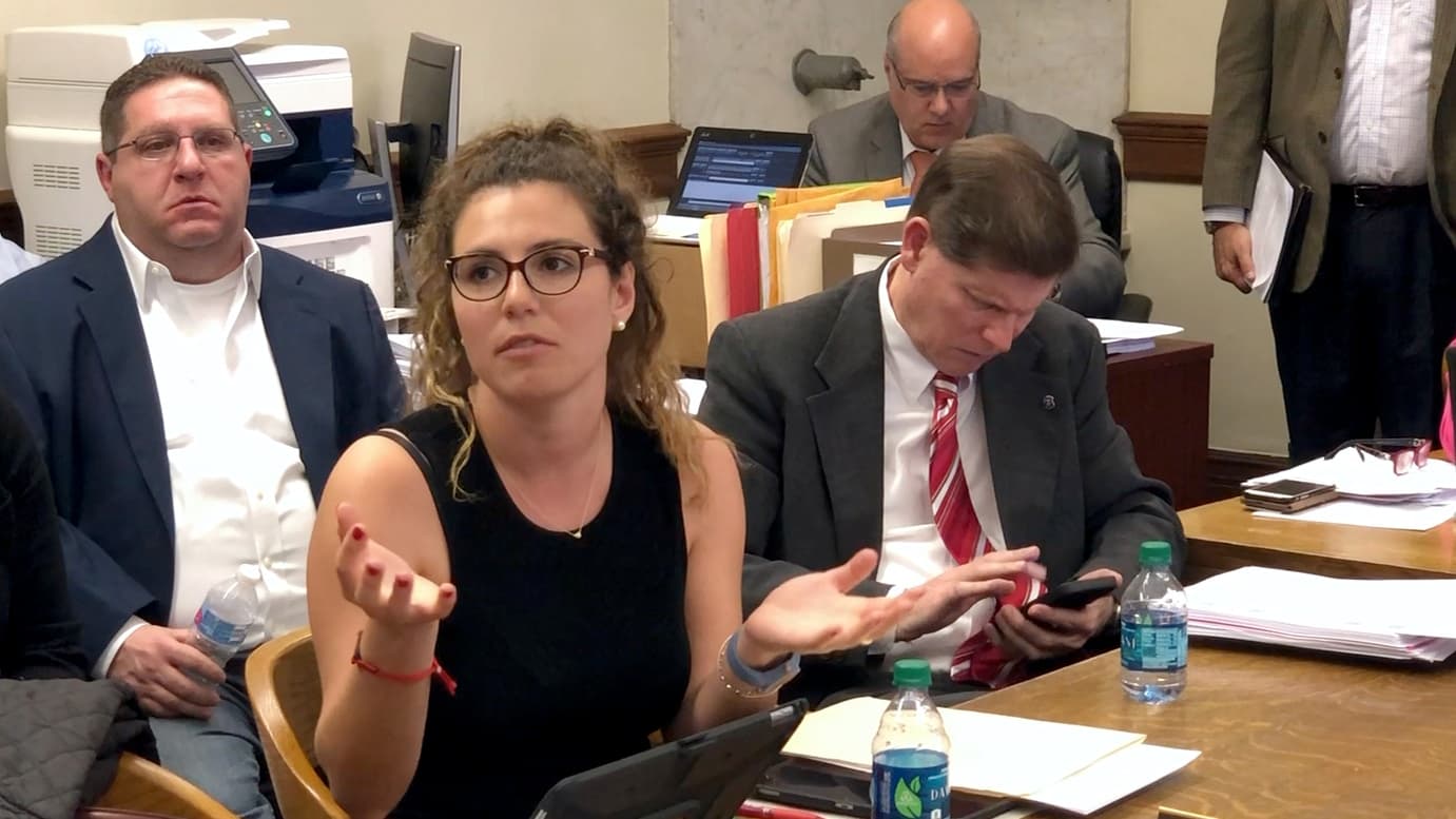 Kazarian bill to protect access to contraception heard in House Corporations