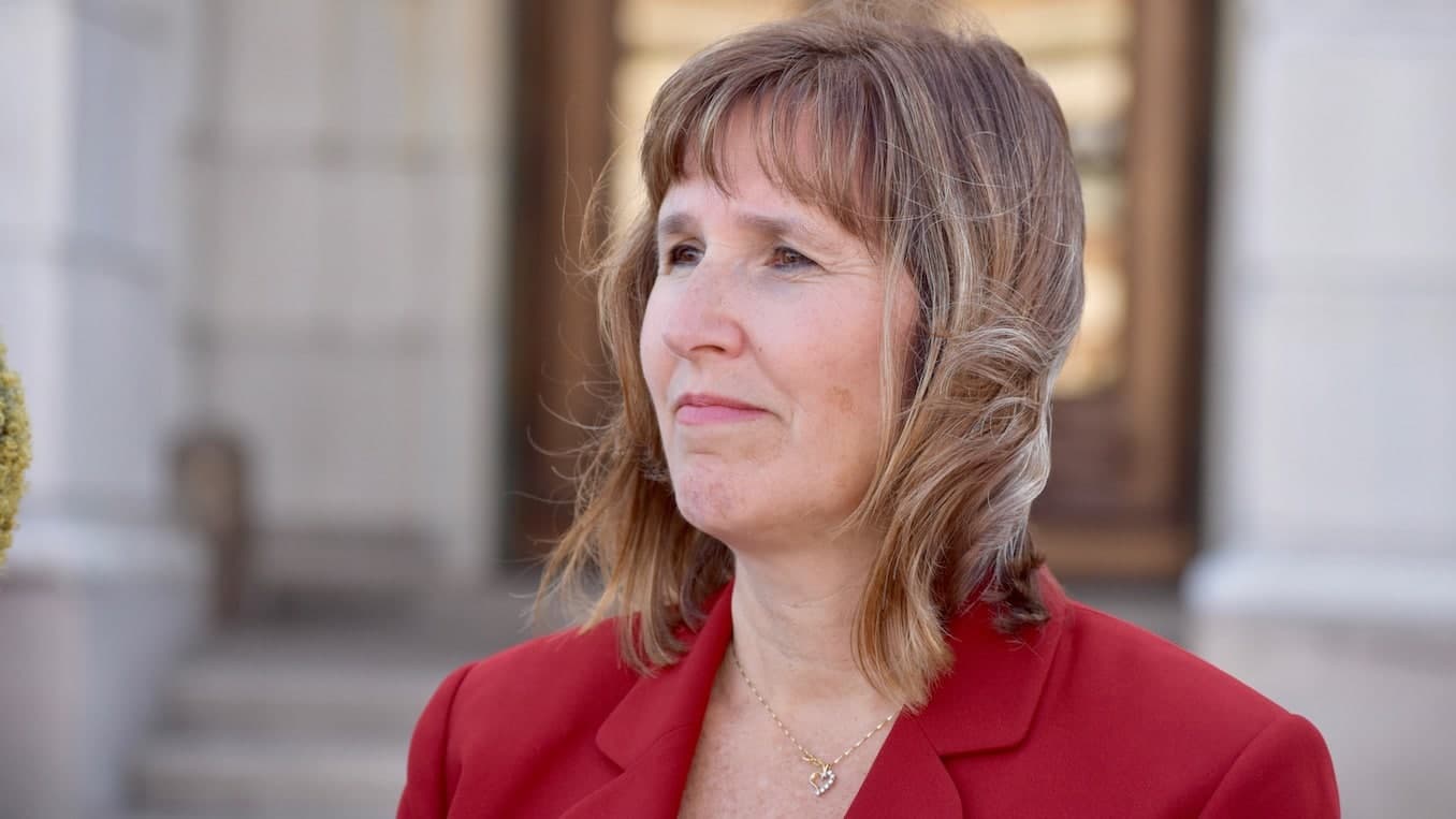 Michelle McGaw announces her candidacy for State Representative For District 71