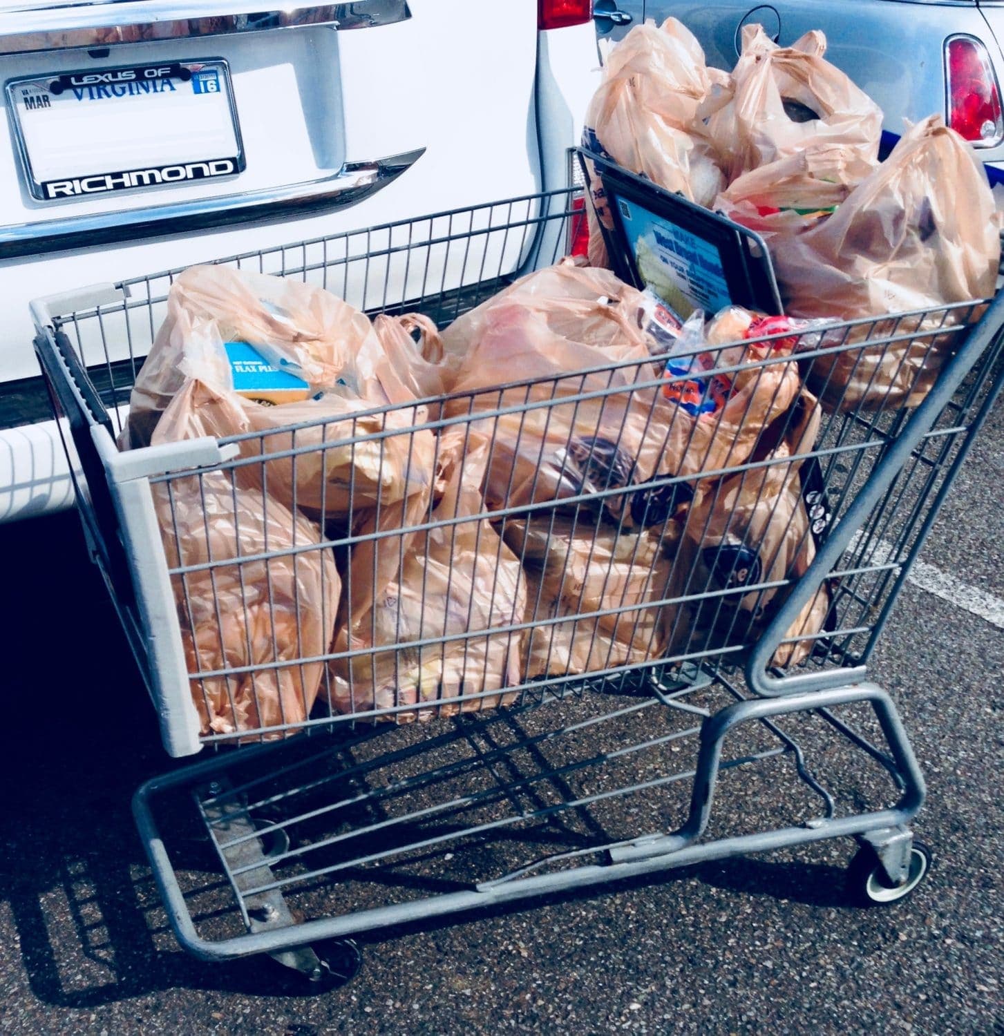 CLF to advance legislation banning plastic bags in every New England state