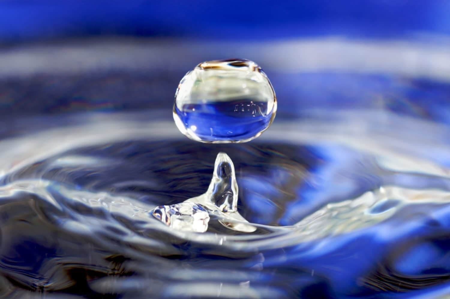 Scituate releases report on Providence Water, the town's largest landowner