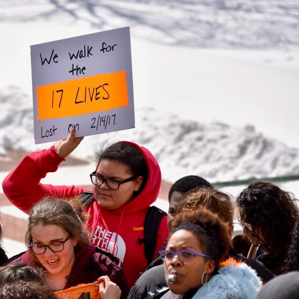 Rhode Island Coalition Against Gun Violence supports Reform Caucus rule change proposals