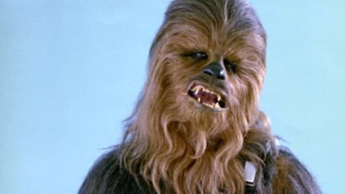 Me and Chewbacca