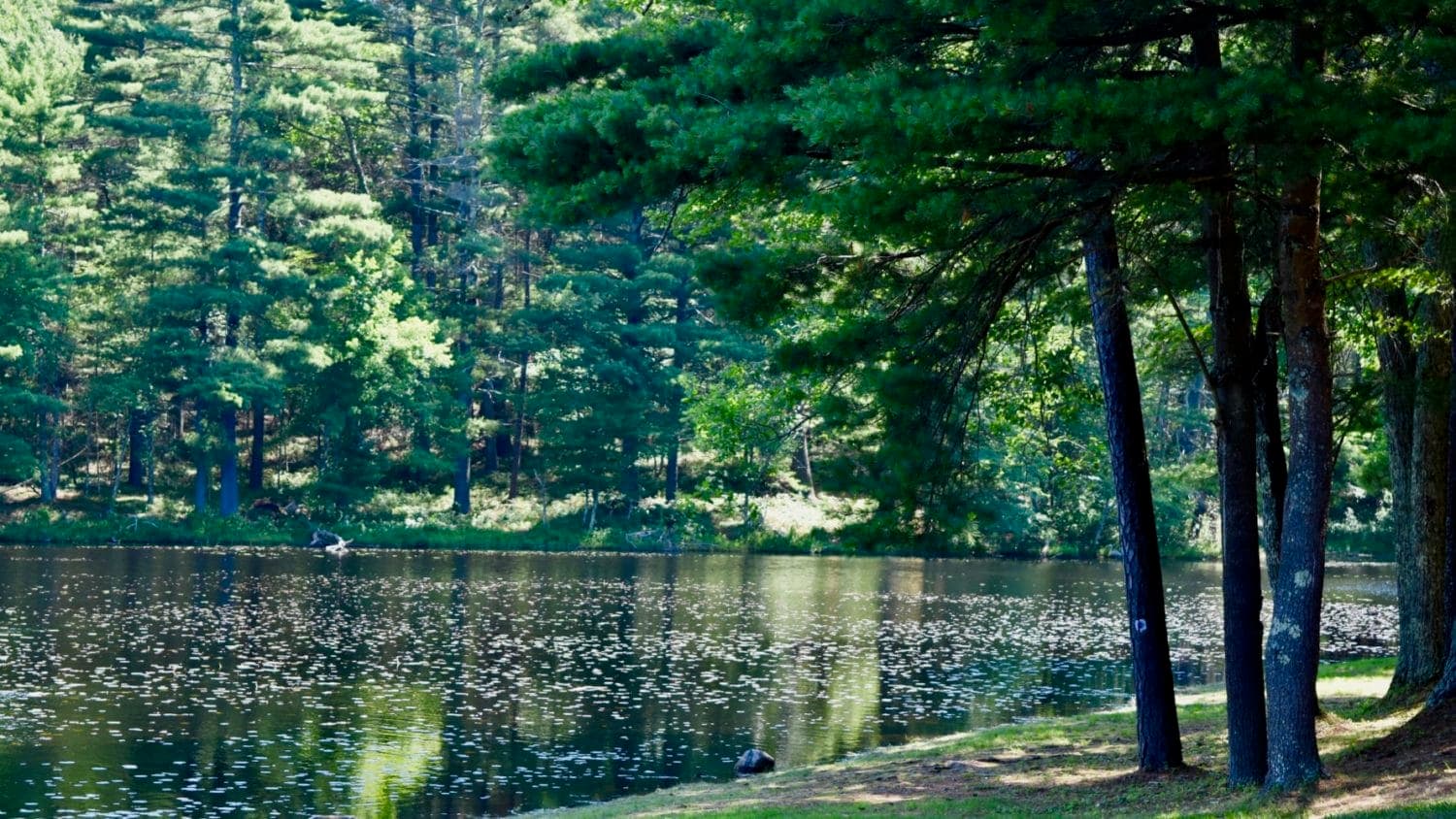 CLF sues Trump Administration over unlawful rollback of Clean Water Rule