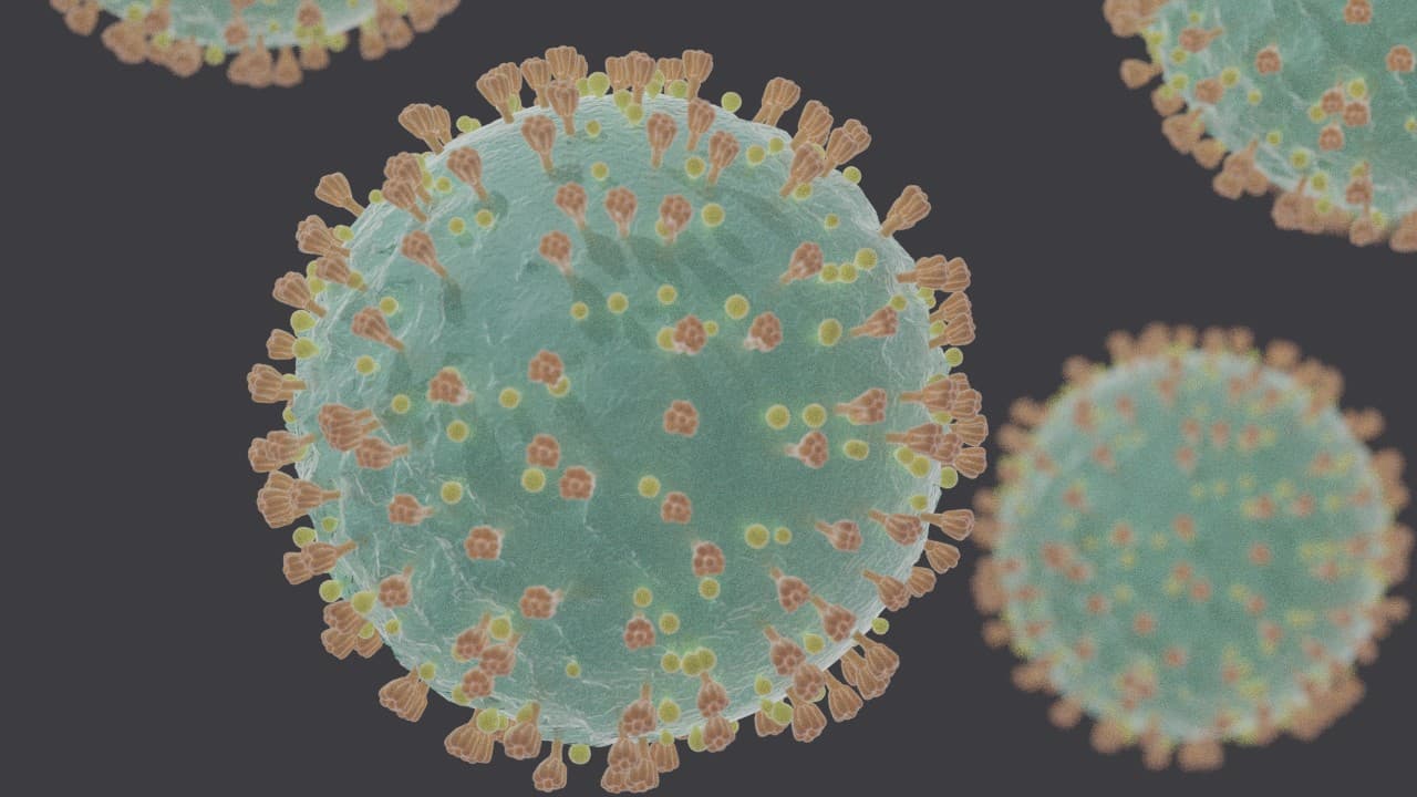 Megan Carnaroli: Maintaining healthy relationships is critical to weathering the pandemic