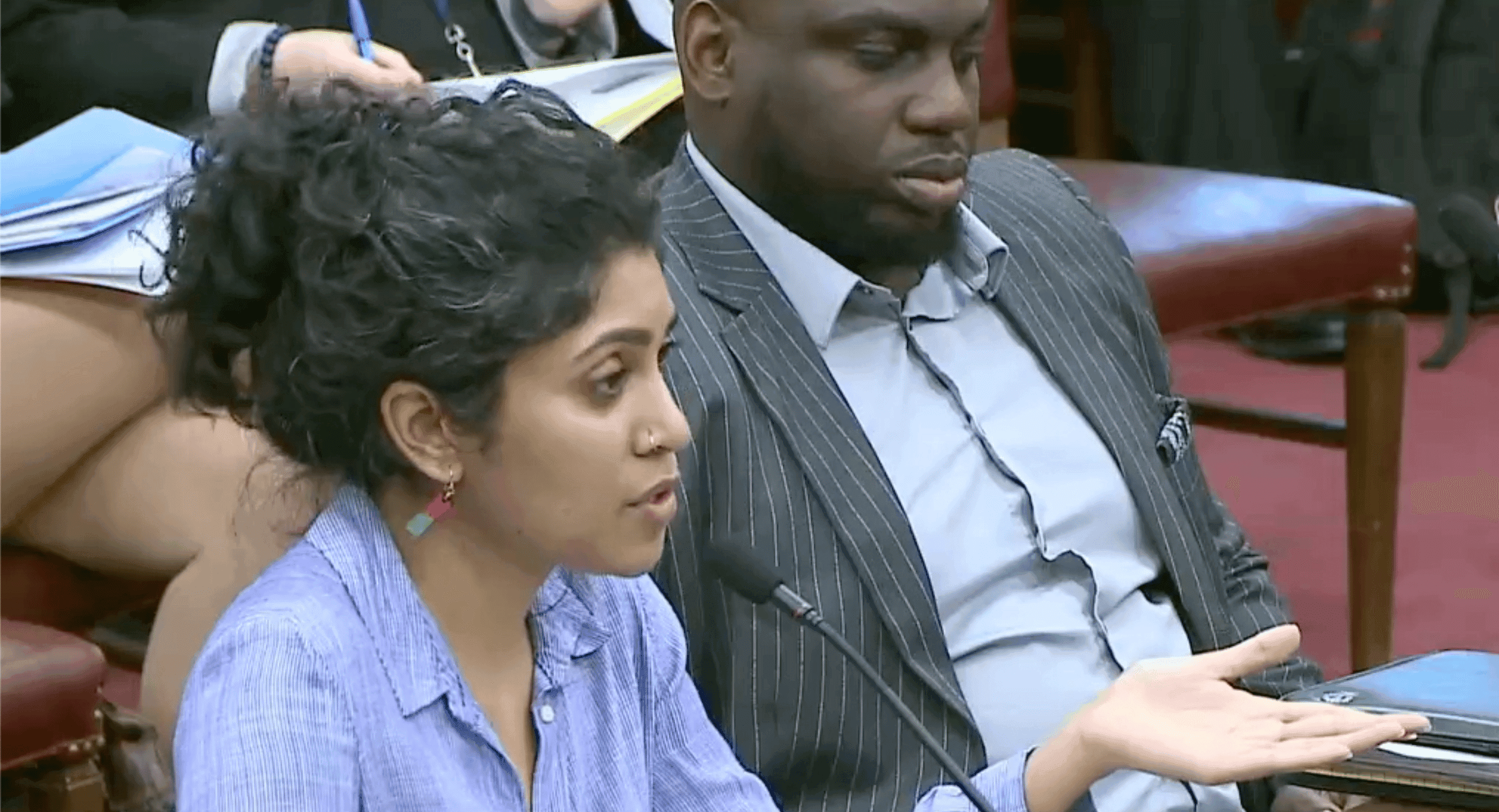 An interview with DARE organizer Anusha Alles on racism in the RI General Assembly
