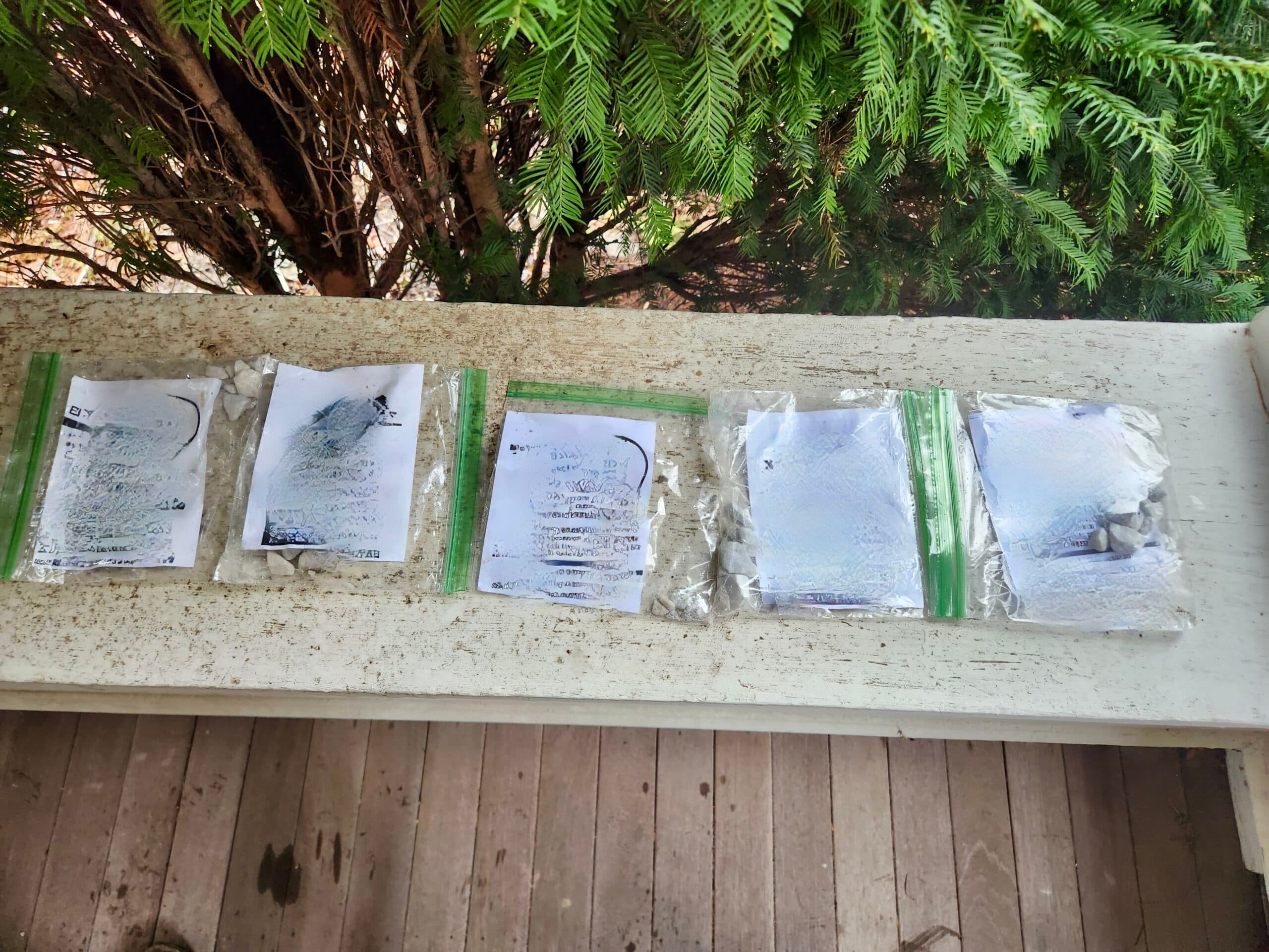 White supremacists litter state with hate literature, recruiting flyers