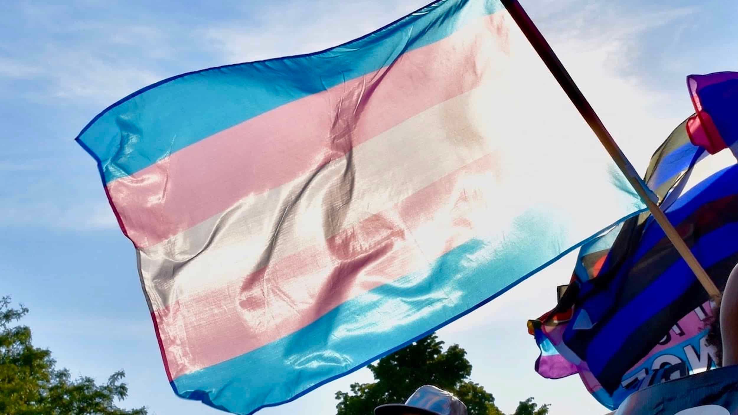 Medical doctor brings alarming truths about trans youth to Smithfield School Committee