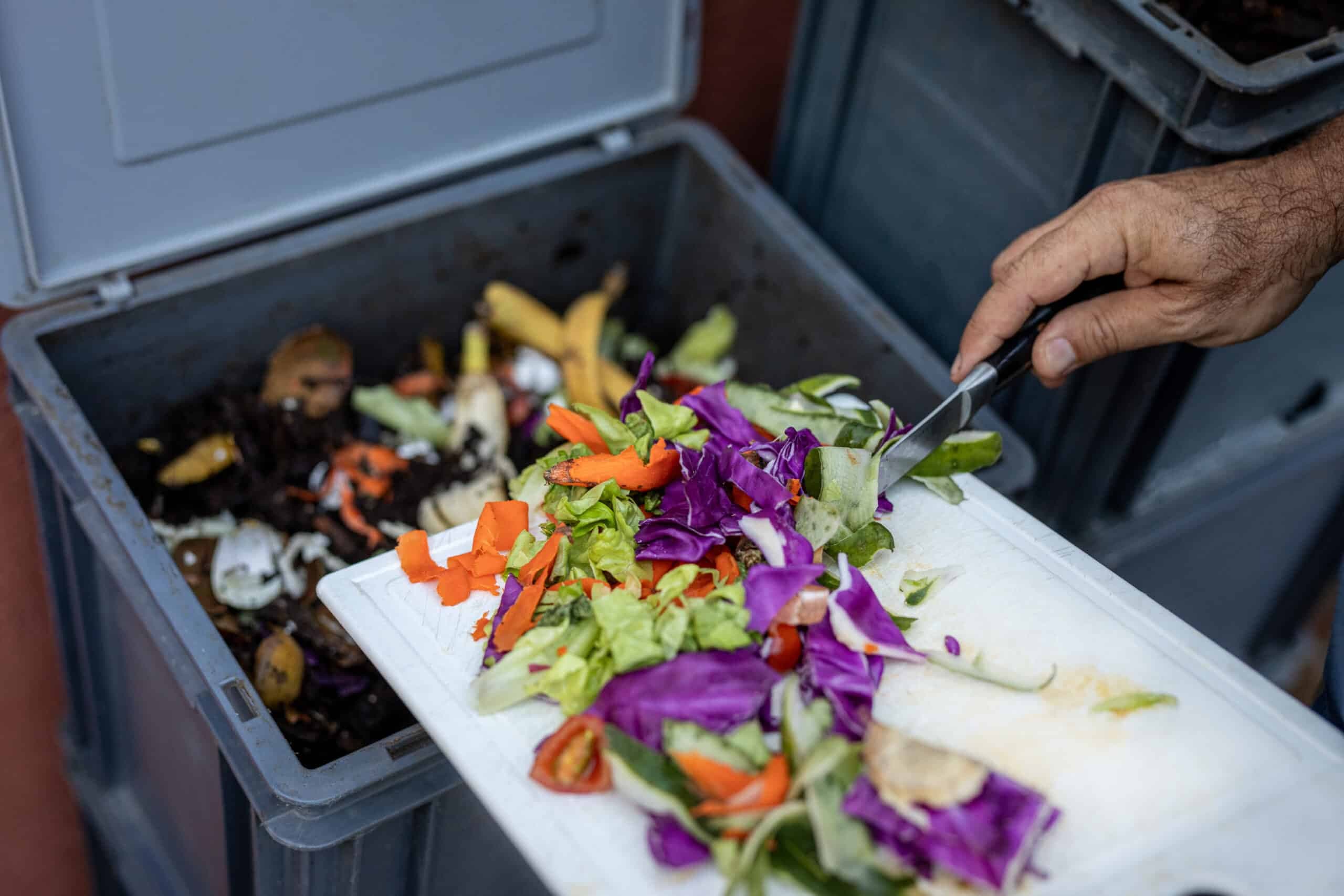 Rhode Island schools struggle to implement composting mandates, survey reveals