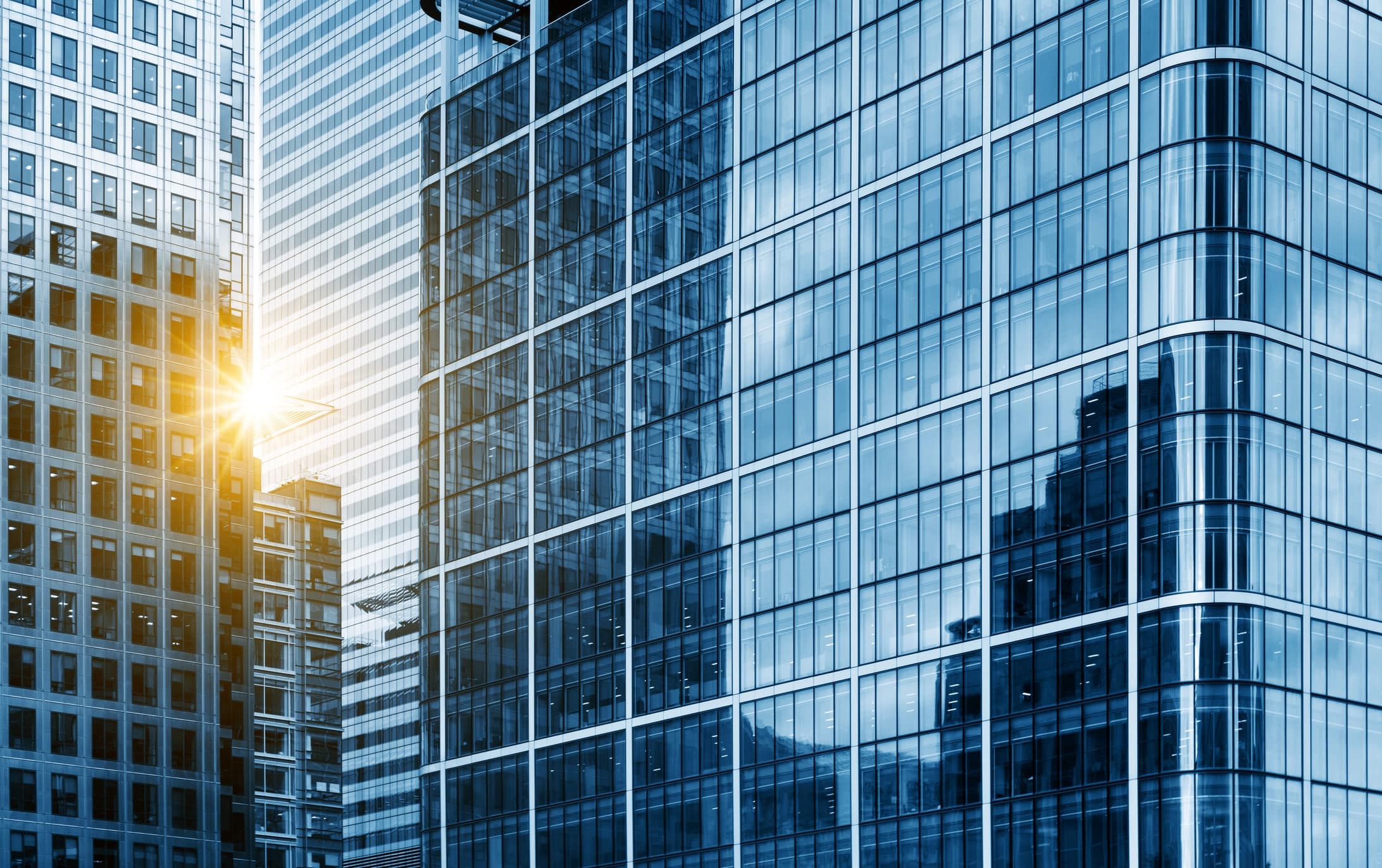 CFPB Launches Corporate Offender Registry, New Tool for Accountability
