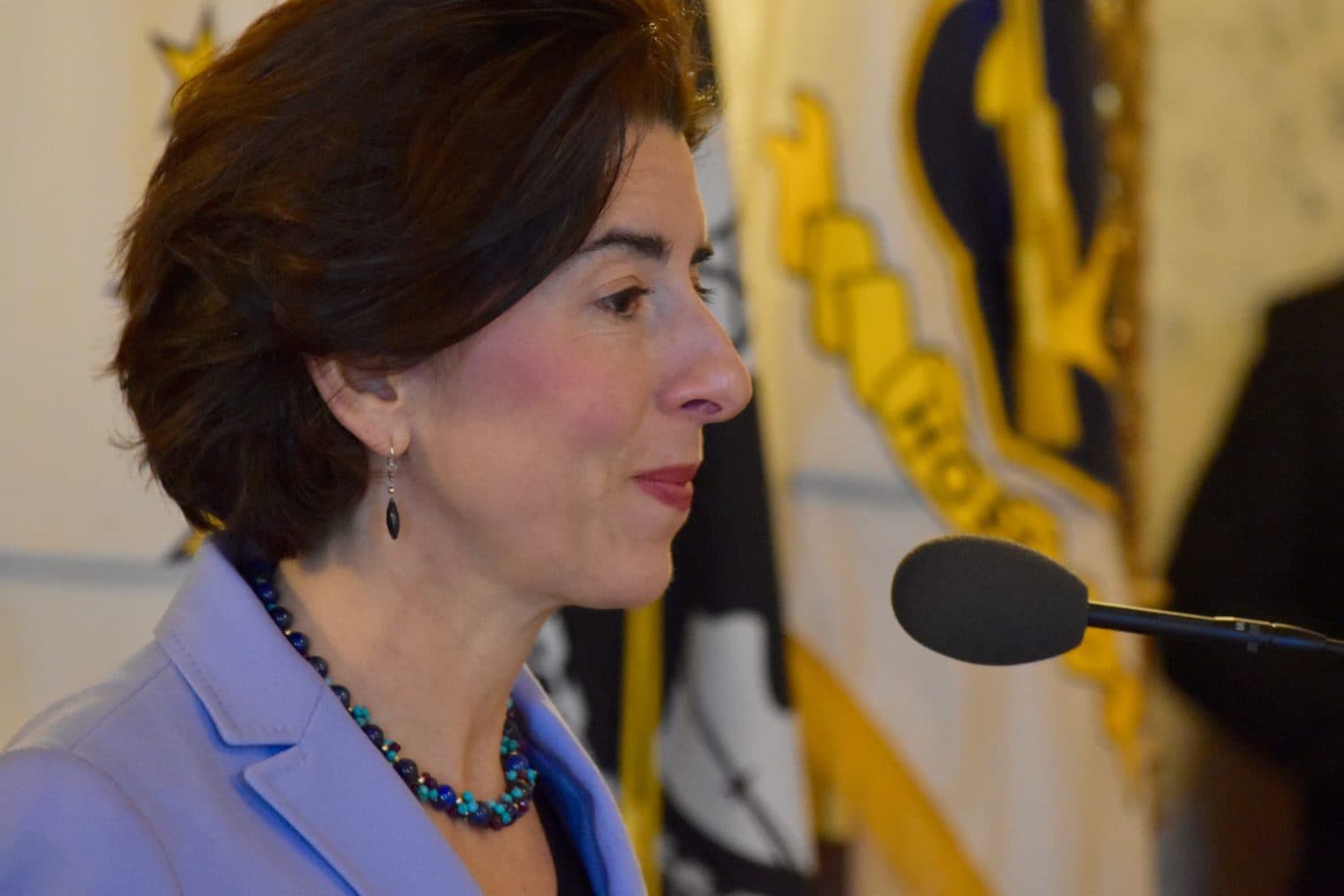 Raimondo announces Gun Safety Working Group