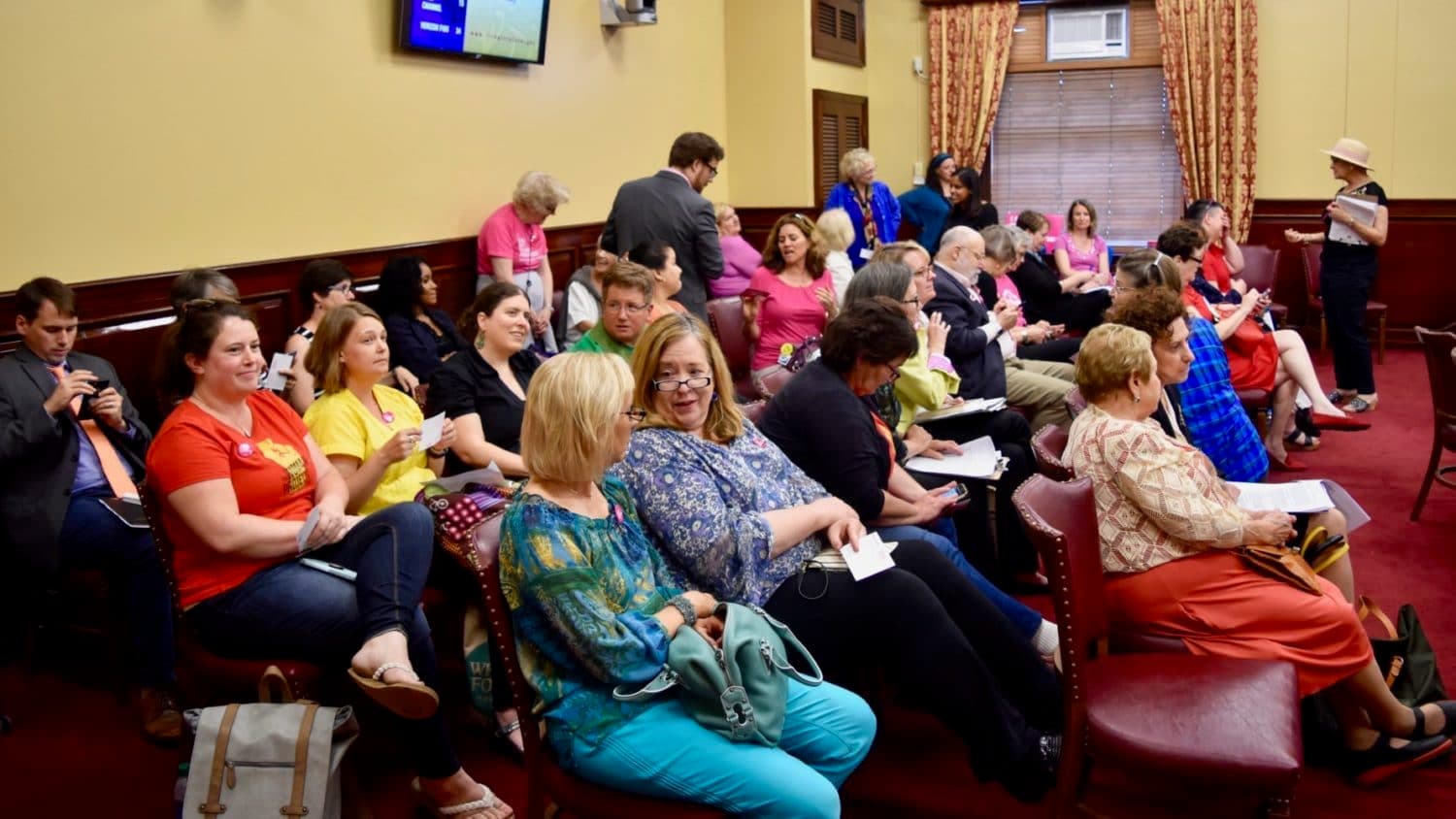 Senate Judiciary takes up Reproductive Health Care Act